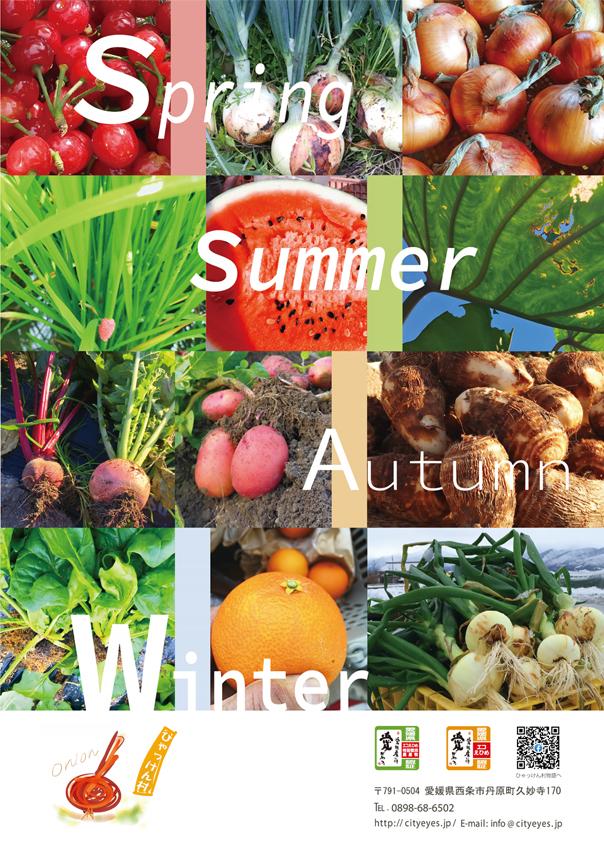 ひゃっけん村のポスター